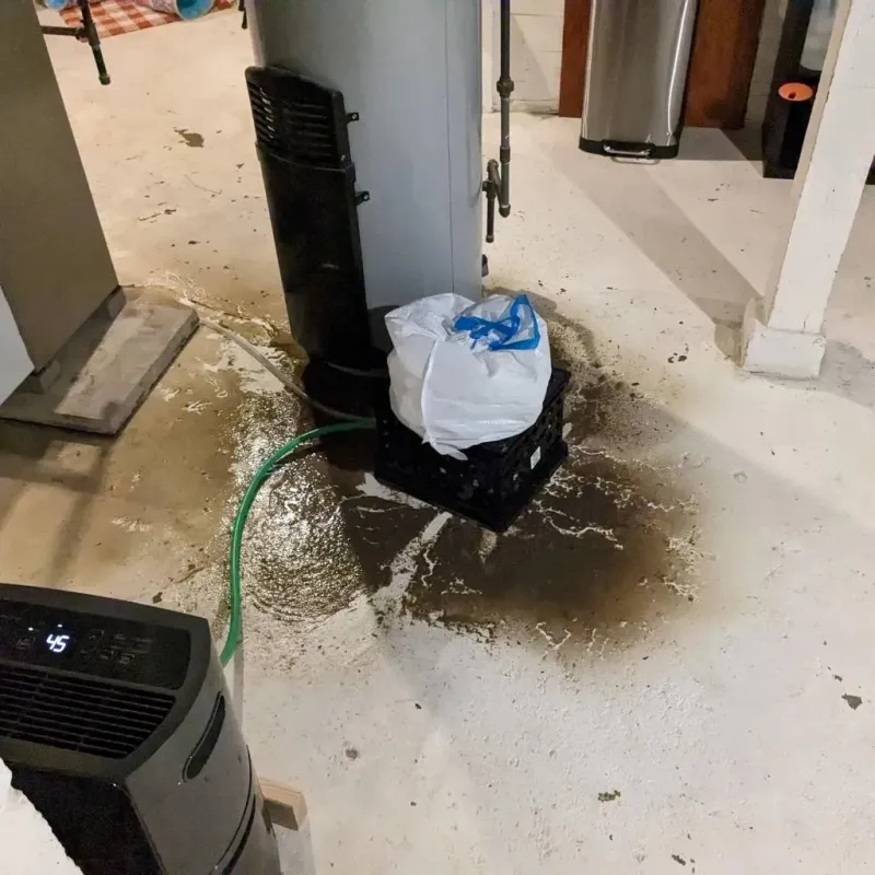 Sewage Backup Cleanup Service in Rawlins County, KS
